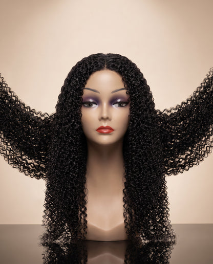 4x6 Lace Wig
